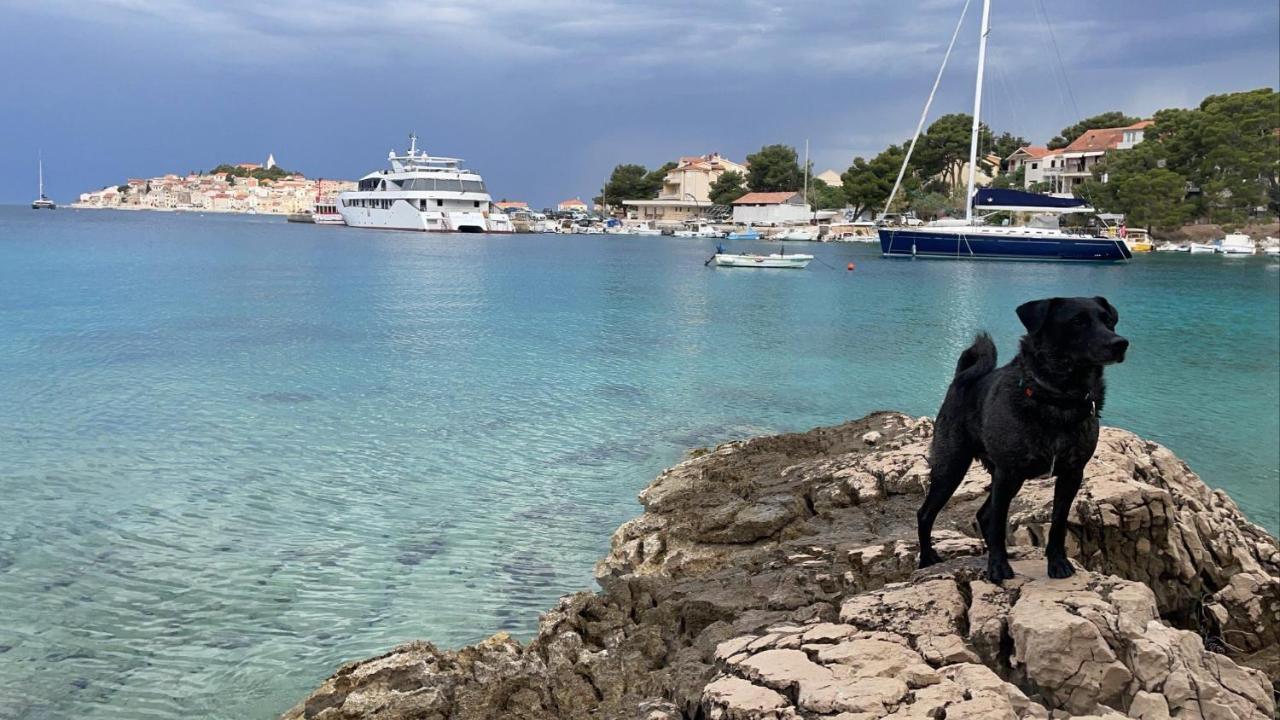 Stonewood Dalmacija Διαμέρισμα Primošten Εξωτερικό φωτογραφία